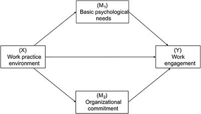 The relationship between work practice environment and work engagement among nurses: The multiple mediation of basic psychological needs and organizational commitment a cross-sectional survey